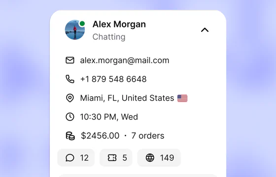 Customer profile details connected with a website chat
