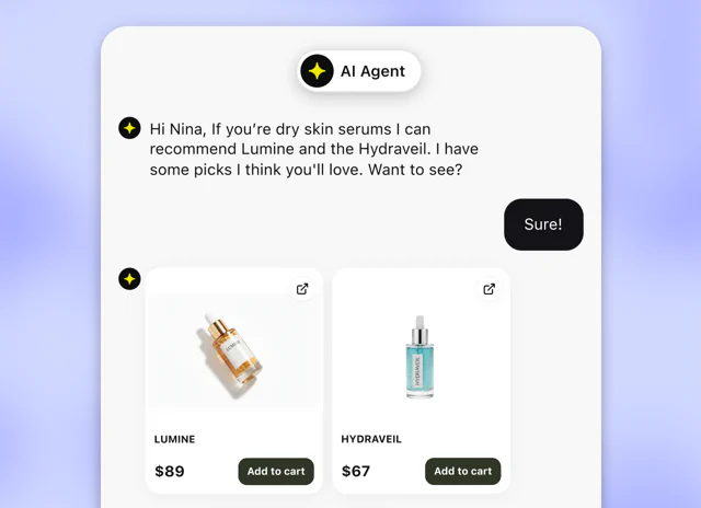 Product recommendations shared in a website chat