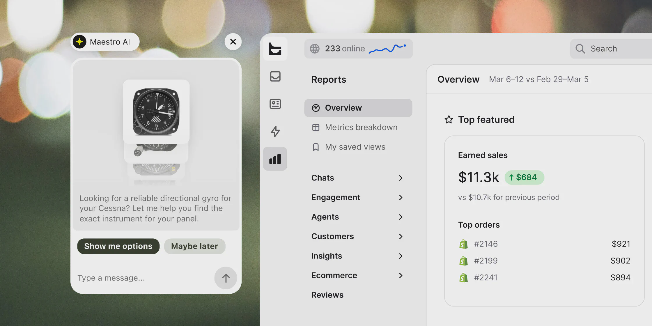 A Text report connecting an AI Agent conversation to ecommerce revenue