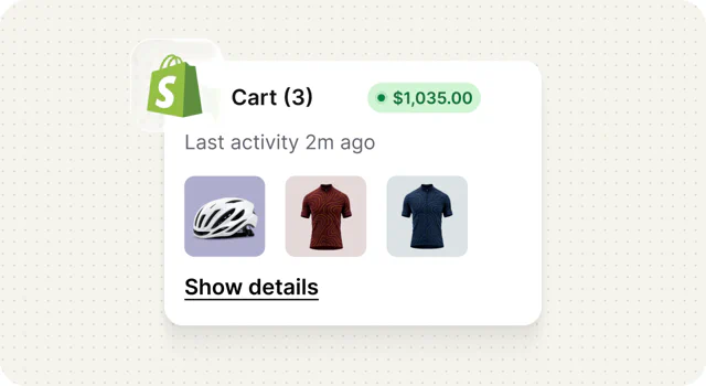 Shopify cart beside a live chat conversation