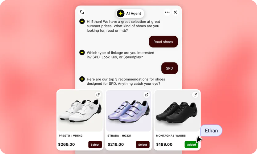 The AI Agent helping a returning shopper with their order